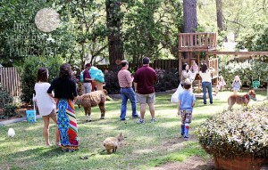 Petting Zoo Party Activity from Pink Peppermint Parties