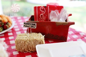 Plates for Maw & Paw from Pink Peppermint Parties